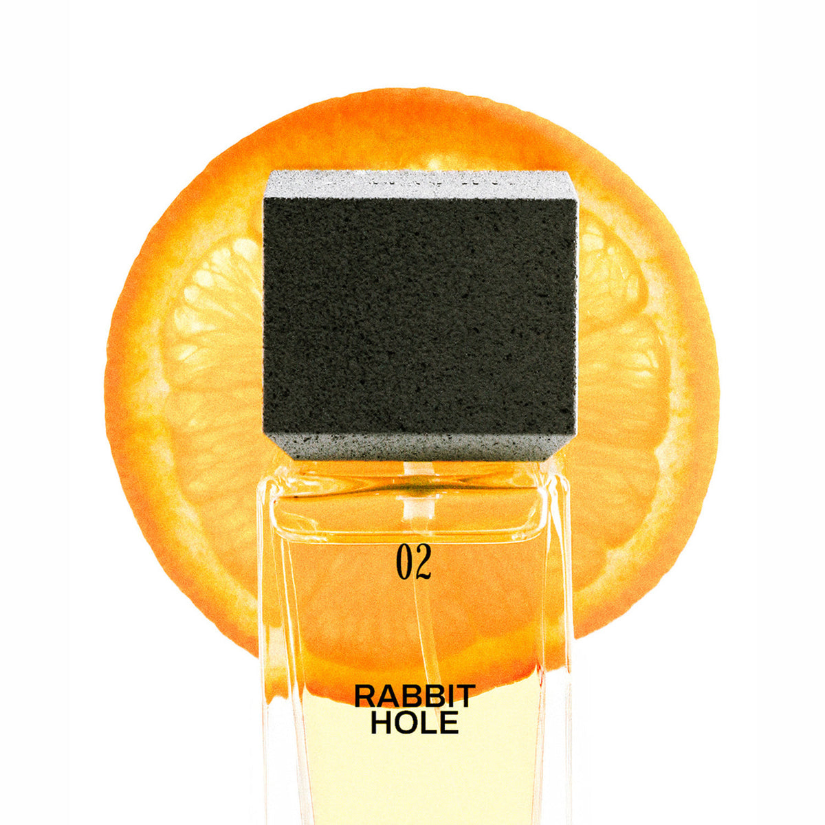 Rabbit Hole