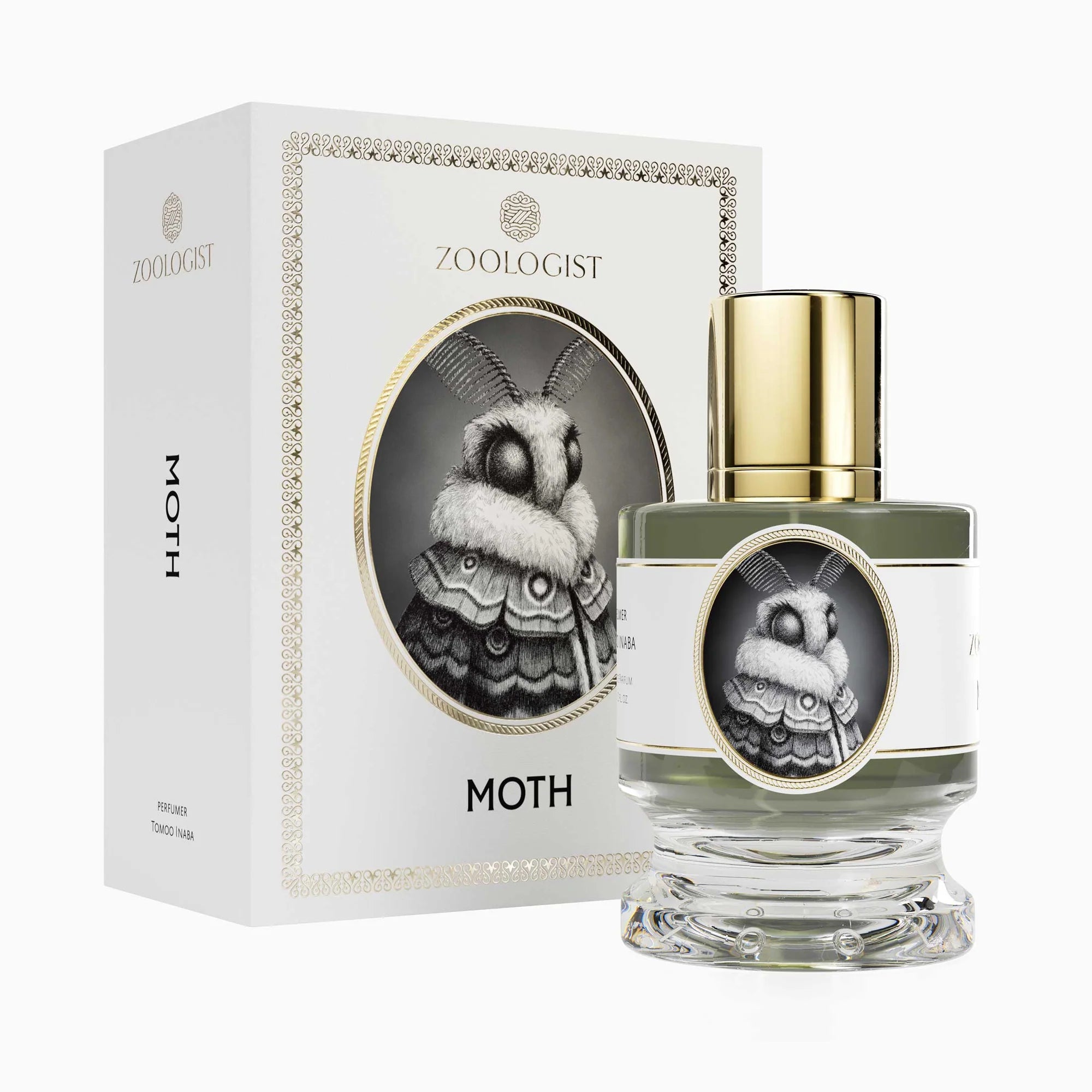 Moth