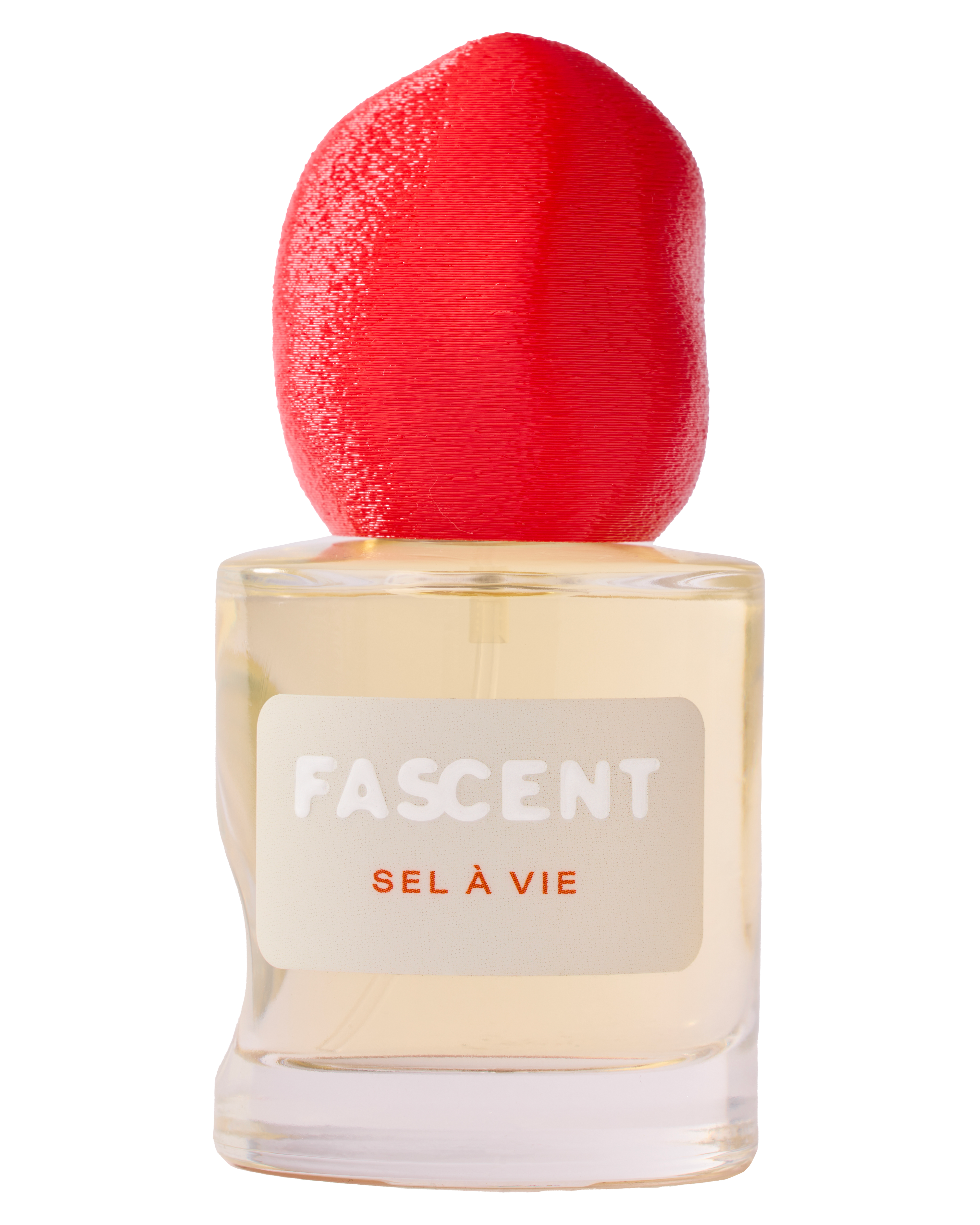 Sel à vie